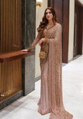 Light Pink Motif Net Saree Set for Diwali | Wedding & Festive Wear